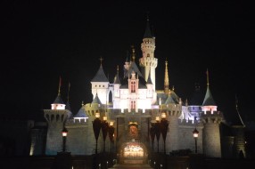 The Sleeping Beauty Castle